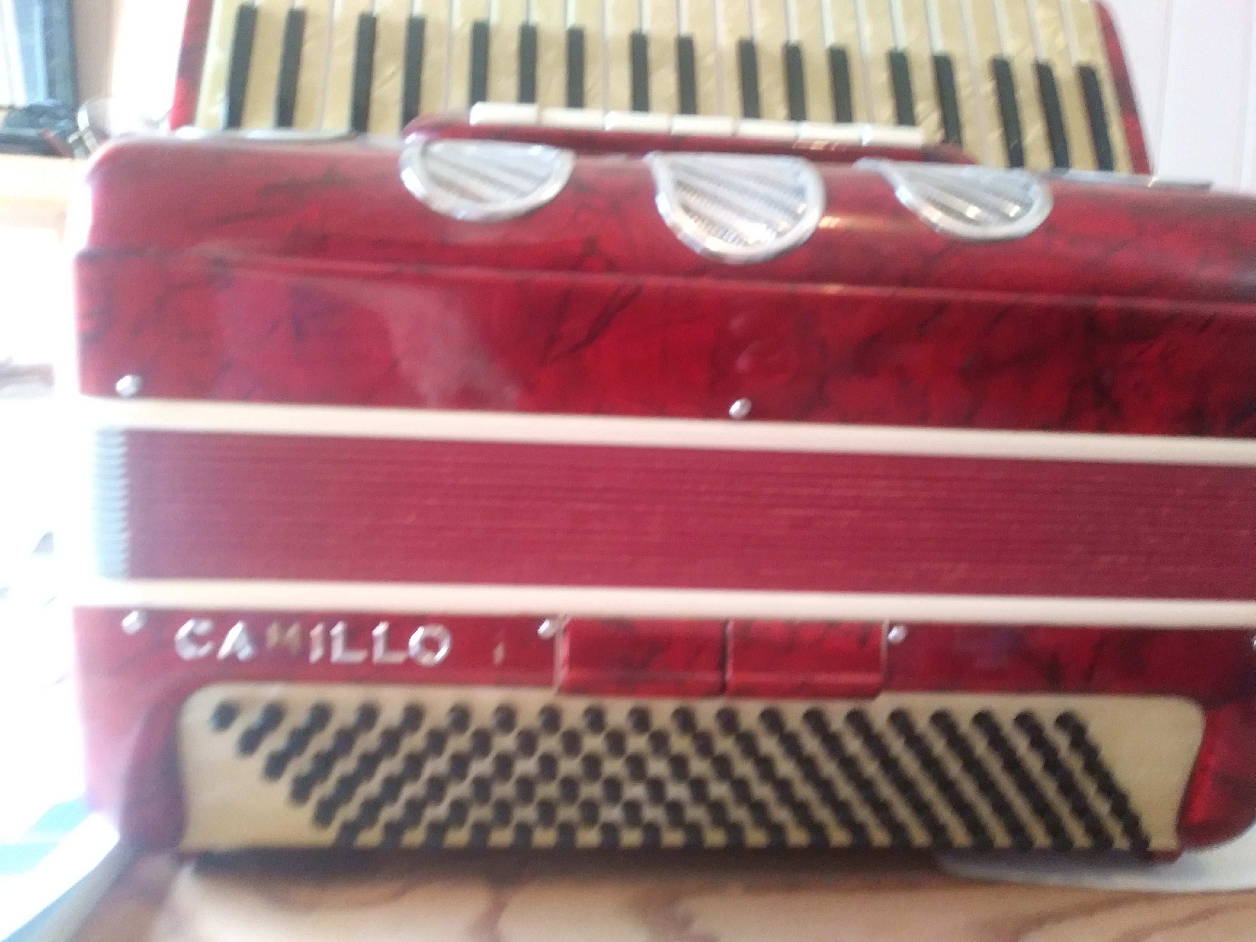 cami2